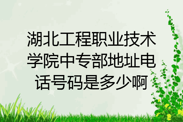 湖北工程职业技术学院中专部地址电话号码是多少啊