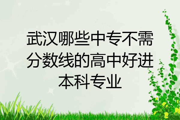 武汉哪些中专不需分数线的高中好进本科专业