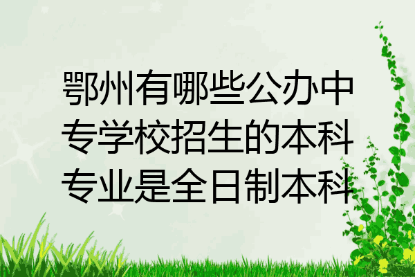 鄂州有哪些公办中专学校招生的本科专业是全日制本科