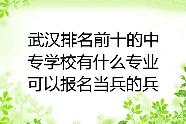 武汉排名前十的中专学校有什么专业可以报名当兵的兵