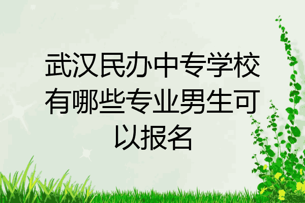 武汉民办中专学校有哪些专业男生可以报名