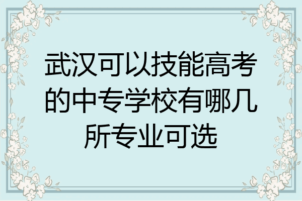 武汉可以技能高考的中专学校有哪几所专业可选