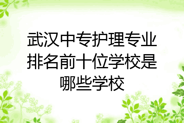 武汉中专护理专业排名前十位学校是哪些学校