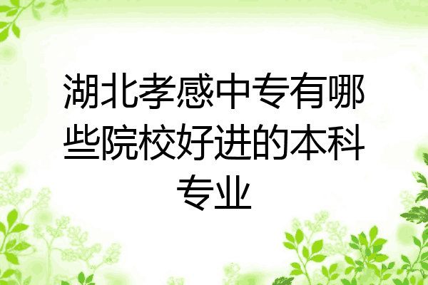 湖北孝感中专有哪些院校好进的本科专业