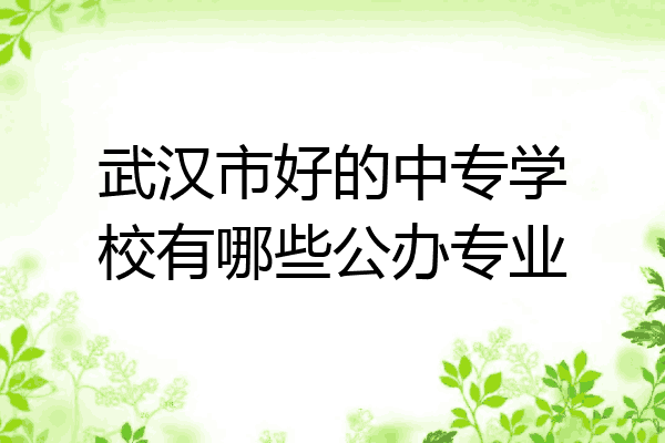 武汉市好的中专学校有哪些公办专业
