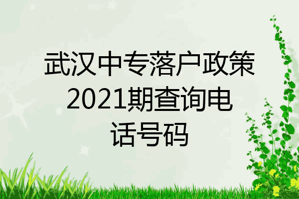 武汉中专落户政策2021期查询电话号码