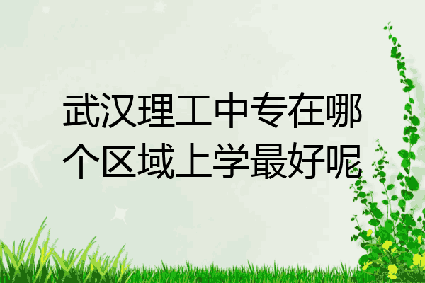 武汉理工中专在哪个区域上学最好呢