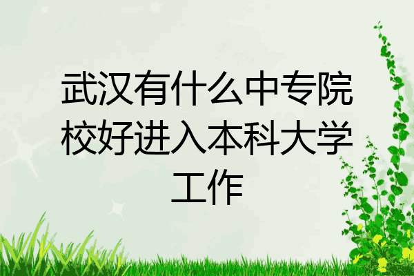 武汉有什么中专院校好进入本科大学工作