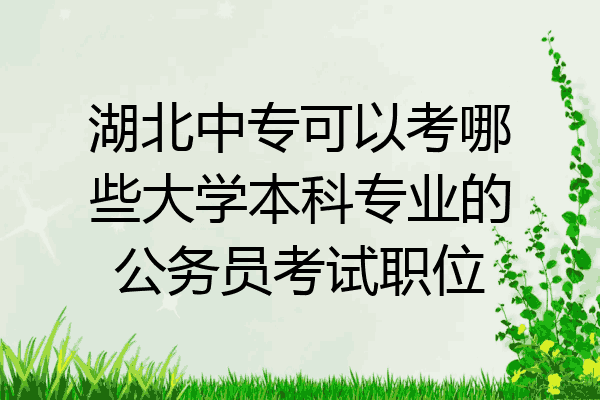 湖北中专可以考哪些大学本科专业的公务员考试职位