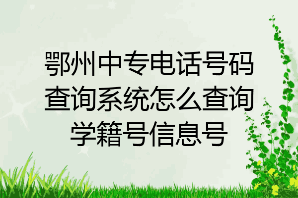 鄂州中专电话号码查询系统怎么查询学籍号信息号