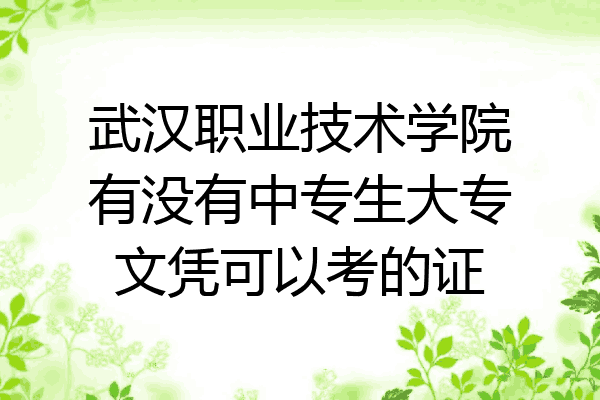 武汉职业技术学院有没有中专生大专文凭可以考的证