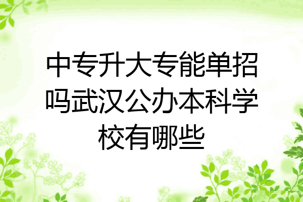 中专升大专能单招吗武汉公办本科学校有哪些