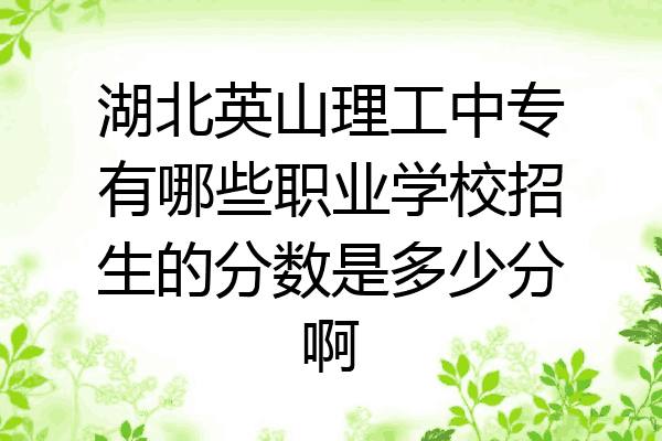 湖北英山理工中专有哪些职业学校招生的分数是多少分啊
