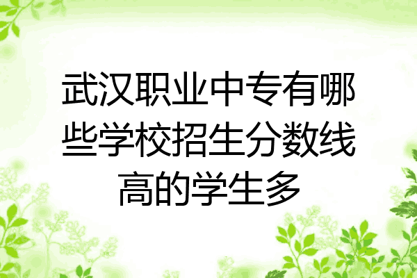 武汉职业中专有哪些学校招生分数线高的学生多