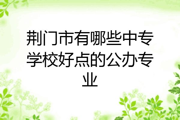 荆门市有哪些中专学校好点的公办专业