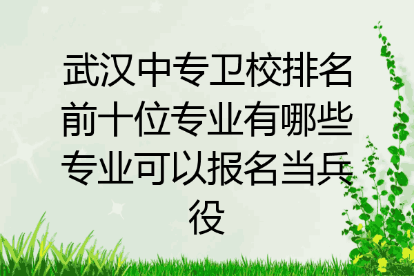武汉中专卫校排名前十位专业有哪些专业可以报名当兵役