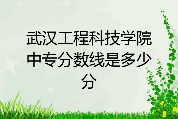 武汉工程科技学院中专分数线是多少分