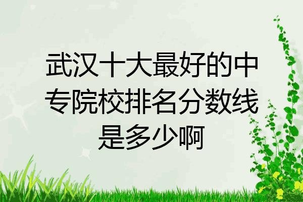 武汉十大最好的中专院校排名分数线是多少啊