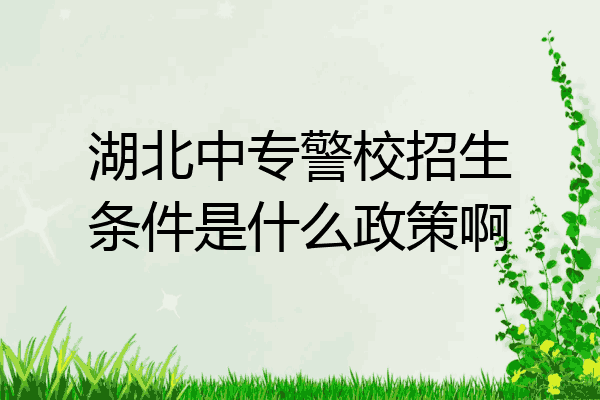 湖北中专警校招生条件是什么政策啊
