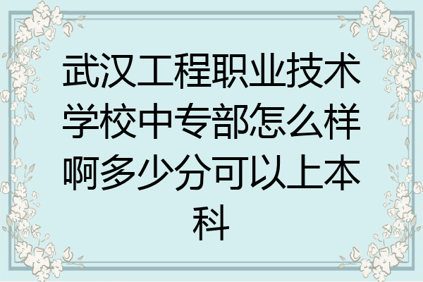 武汉工程职业技术学校中专部怎么样啊多少分可以上本科