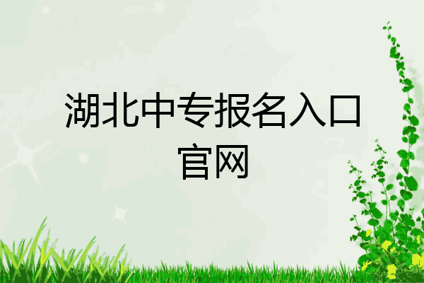 湖北中专报名入口官网