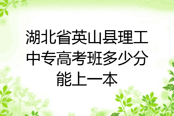 湖北省英山县理工中专高考班多少分能上一本