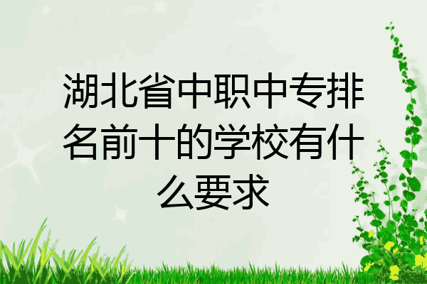 湖北省中职中专排名前十的学校有什么要求