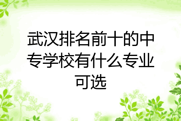 武汉排名前十的中专学校有什么专业可选