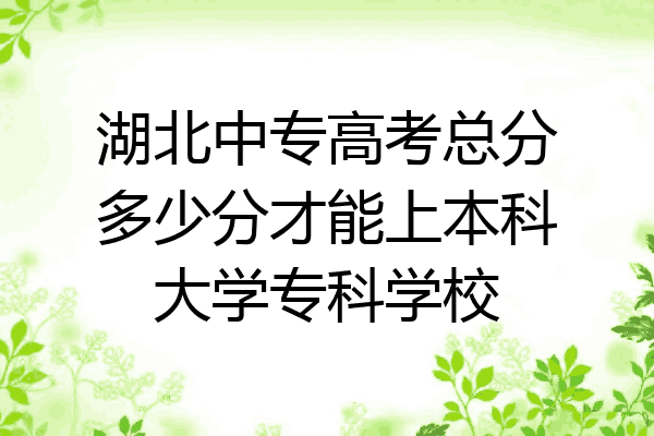 湖北中专高考总分多少分才能上本科大学专科学校