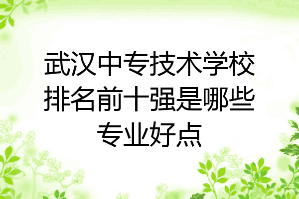 武汉中专技术学校排名前十强是哪些专业好点