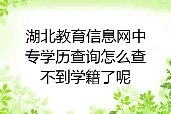 湖北教育信息网中专学历查询怎么查不到学籍了呢