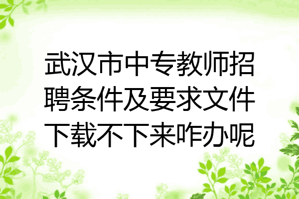 武汉市中专教师招聘条件及要求文件下载不下来咋办呢