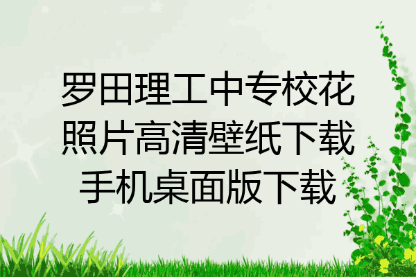 罗田理工中专校花照片高清壁纸下载手机桌面版下载