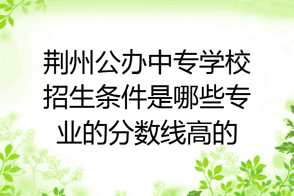 荆州公办中专学校招生条件是哪些专业的分数线高的