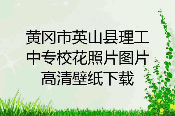 黄冈市英山县理工中专校花照片图片高清壁纸下载