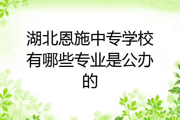 湖北恩施中专学校有哪些专业是公办的