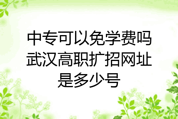 中专可以免学费吗武汉高职扩招网址是多少号