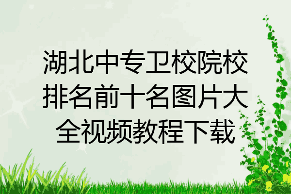湖北中专卫校院校排名前十名图片大全视频教程下载
