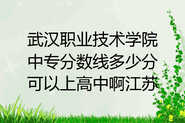 武汉职业技术学院中专分数线多少分可以上高中啊江苏