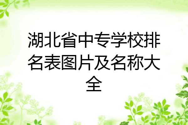 湖北省中专学校排名表图片及名称大全