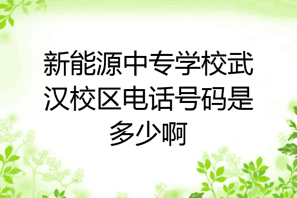 新能源中专学校武汉校区电话号码是多少啊