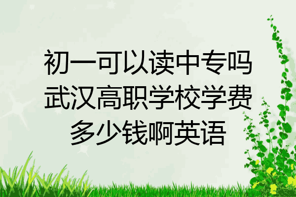 初一可以读中专吗武汉高职学校学费多少钱啊英语