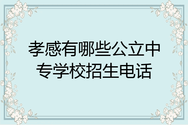 孝感有哪些公立中专学校招生电话