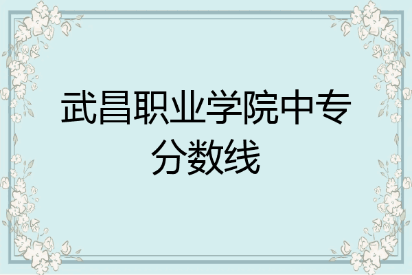 武昌职业学院中专分数线
