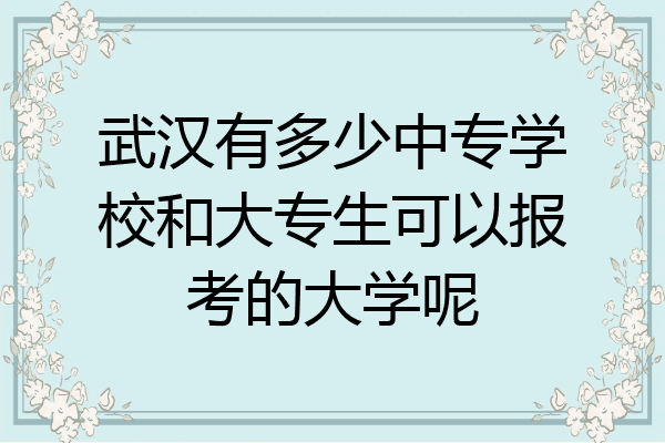 武汉有多少中专学校和大专生可以报考的大学呢