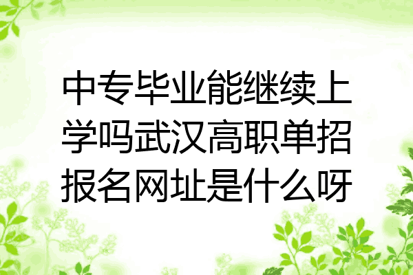 中专毕业能继续上学吗武汉高职单招报名网址是什么呀