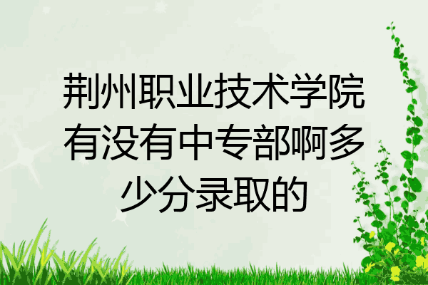荆州职业技术学院有没有中专部啊多少分录取的