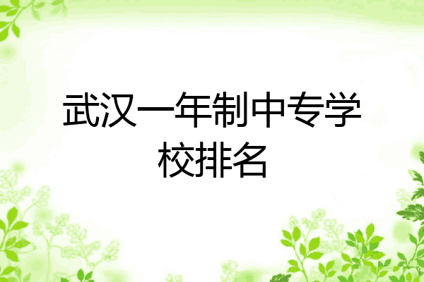 武汉一年制中专学校排名