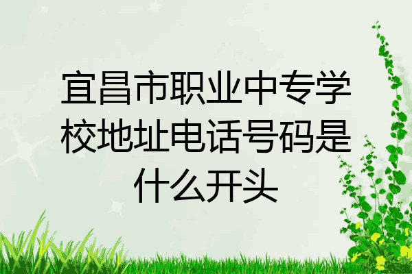 宜昌市职业中专学校地址电话号码是什么开头