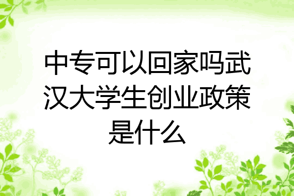 中专可以回家吗武汉大学生创业政策是什么